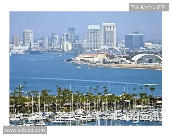 美公开赛休斯顿对决精彩瞬间回顾与分析