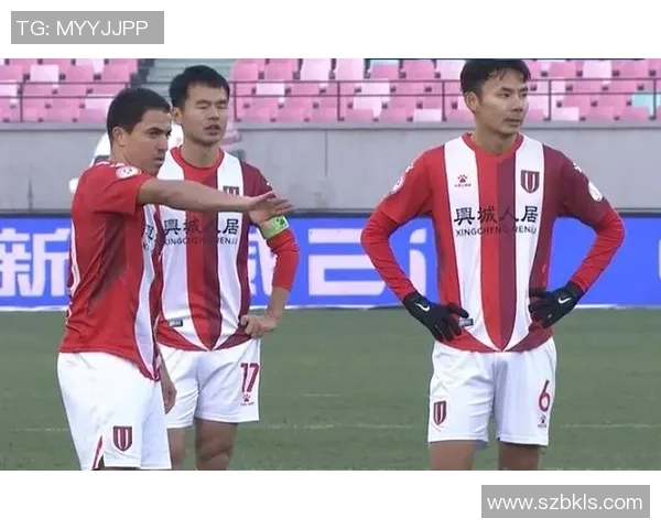 成都排球队球员个人能力深度对比与分析探讨MBA