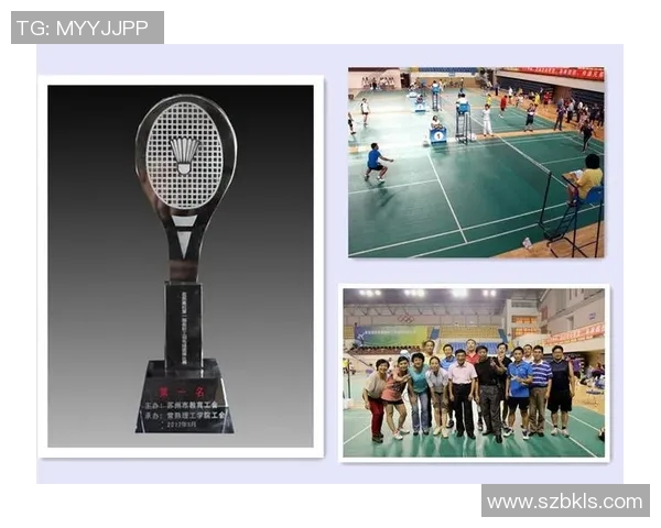 成都羽毛球队与杭州羽毛球队赛后复盘团队协作的精彩瞬间与经验分享MBA