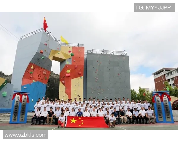 北京滑板队运营分析：成功经验与面临挑战的深度探讨MBA