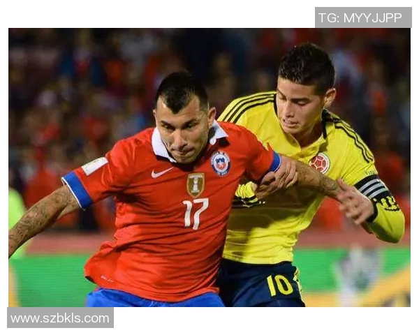 荷兰与智利比赛数据分析及关键统计信息全面解读