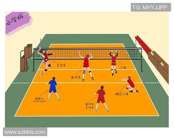 上海排球队的团队协作精神与战术配合探讨